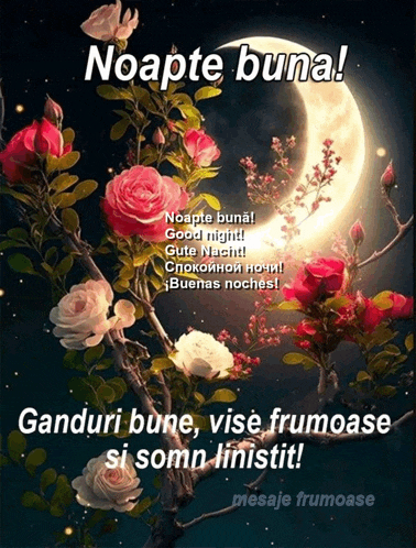a picture of flowers with the words noapte buna written above it