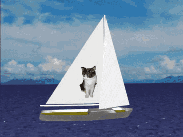 a cat on a sailboat in the ocean with mountains in the background