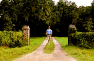 a man in a blue shirt is walking down a dirt road surrounded by trees