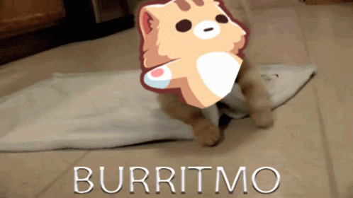 Burritmo Burrito GIF - Burritmo Mo Burrito GIFs