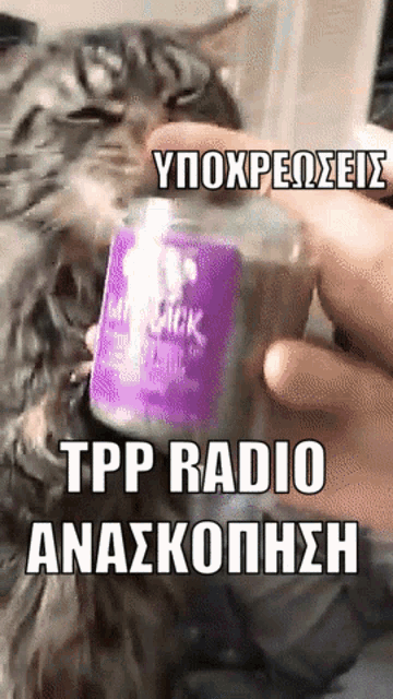 Thepressproject Tpp GIF - Thepressproject Pressproject Tpp GIFs