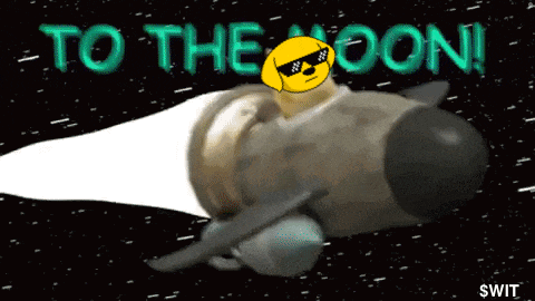 a dog wearing sunglasses is riding on the back of a rocket with the words to the moon behind it
