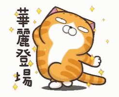 Cat Lan Lan Cat GIF - Cat Lan Lan Cat Going Up GIFs