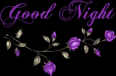 purple flowers on a black background with the words good night