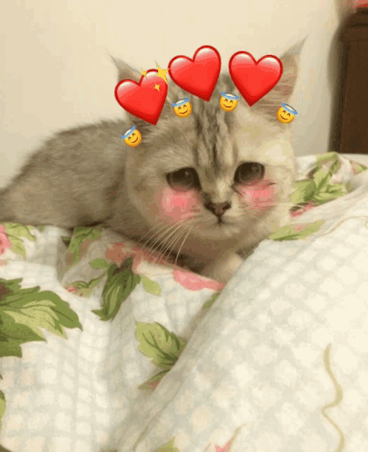 a cat laying on a bed with hearts on its face