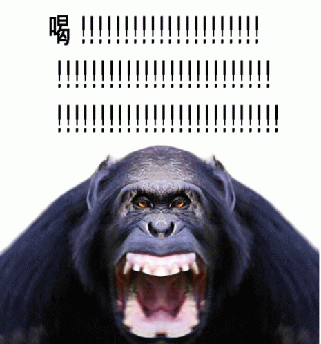 꾸짖을갈 가테갈 GIF - 꾸짖을갈 가테갈 침팬치 GIFs