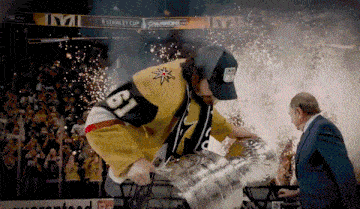 Mark Stone Stanley Cup GIF - Mark Stone Stone Stanley Cup GIFs