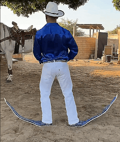 a man in a blue shirt and white pants is standing next to a horse