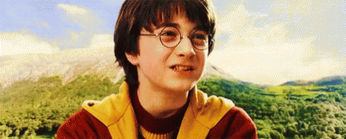 Harry Potter Harry GIF - Harry Potter Harry Quitich GIFs