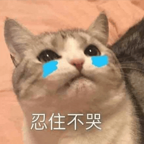 a close up of a cat with a tear on its face .