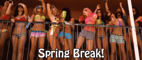 Spring Break Springbreak GIF - Spring Break Party Dance GIFs