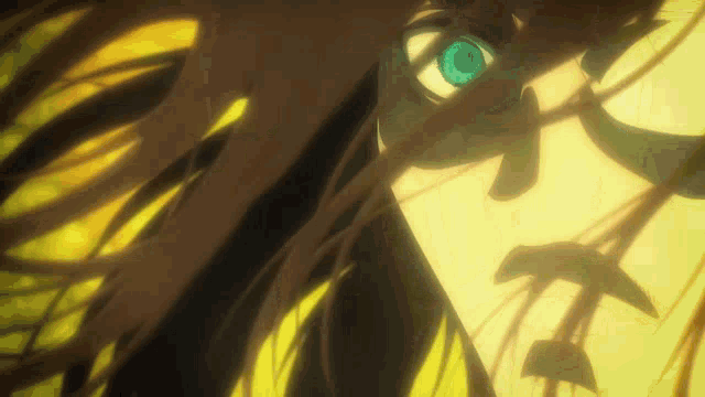 a close up of a person with blue eyes