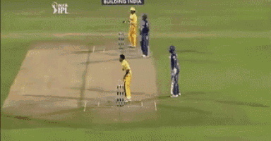 a group of cricket players on a field with a sign that says building india