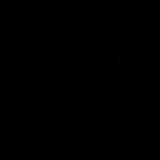 a pirate hunters logo with a skull in the foreground
