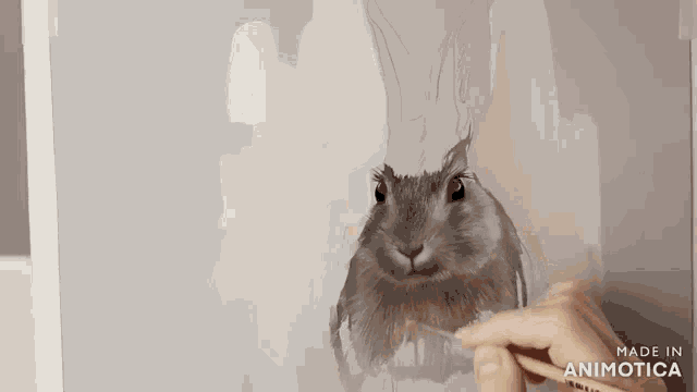 a person is painting a rabbit on a piece of paper with the words made in animotica on the bottom