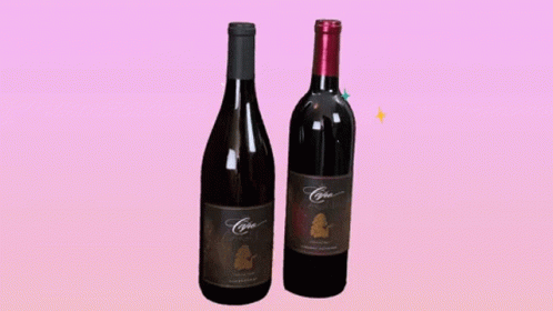 Capo Cagna Wine GIF - Capo Cagna Wine Leah Van Dale GIFs