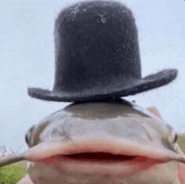 a fish wearing a top hat is looking at the camera with its mouth open .