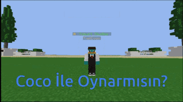 a picture of perry the platypus with the words coco ile oynarmisin below it