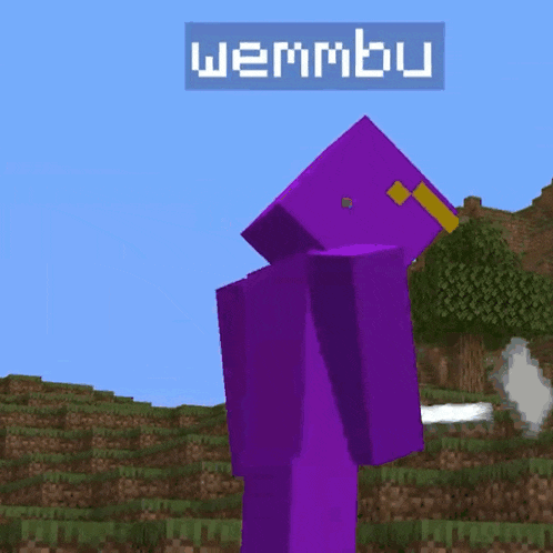 a purple block in a video game with the name wemmbu above it