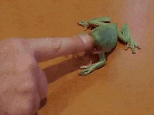Frog Finger GIF - Frog Finger Succ GIFs