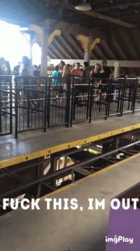 Canday Im Out GIF - Canday Im Out Roller Coaster GIFs