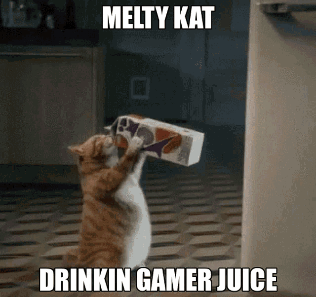 Melty Kat Drinkin Gamer Juice GIF - Melty Kat Drinkin Gamer Juice Gamer Juice GIFs