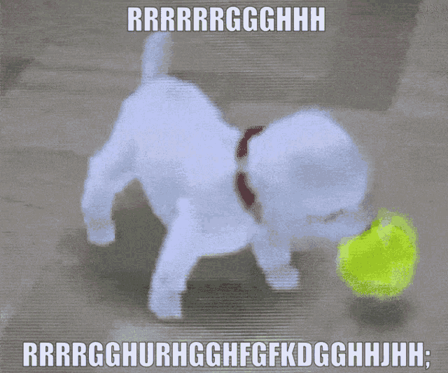a picture of a dog playing with a tennis ball with the words rrrrrgghhh written on it