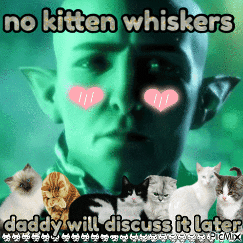 a picture of a man with kitten whiskers on his face