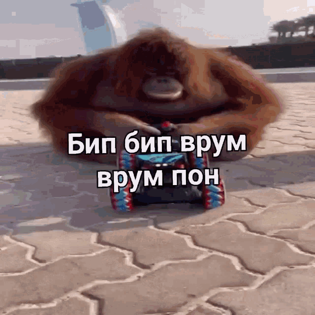 a monkey is sitting on a toy car with a caption in russian