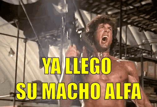 a shirtless man is holding a gun with the words ya llego su macho alfa written above him