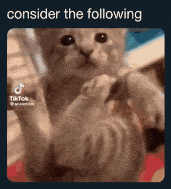 a picture of a cat with the words consider the following
