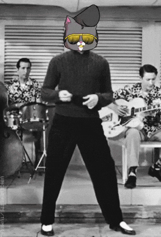a black and white photo of a man wearing sunglasses and a cat head