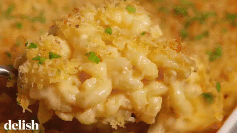 Mac & Cheese GIF - Savory Mac Cheese GIFs
