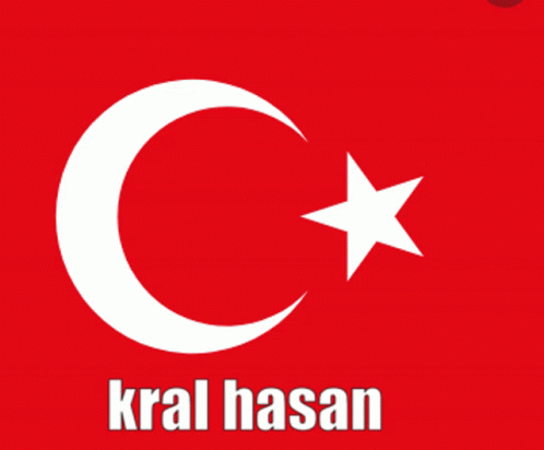 Kral Hasan Hasanım GIF - Kral Hasan Hasanım King Hasan GIFs