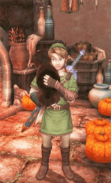 Legend Of Zelda Link GIF - Legend Of Zelda Link Twilight Princess GIFs