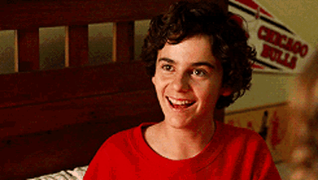 a young boy in a red shirt is smiling in front of a chicago bulls sign