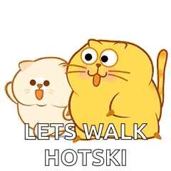 Cats Brisk Walking GIF - Cats Brisk Walking Exercise GIFs