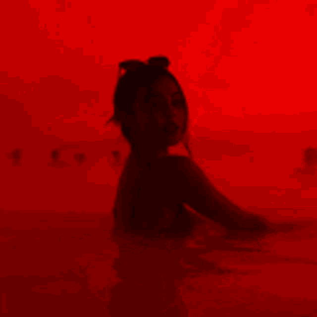 a silhouette of a woman in the water with a red sky in the background