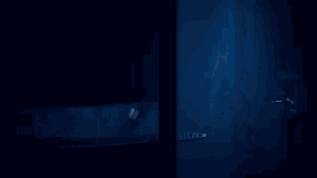 a person is standing in a dark room with a bat hanging from a wall .