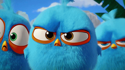 Who Are You Mad GIF - Who Are You Mad Birds GIFs