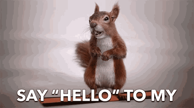 Say Hello To My Little Friend Hello GIF - Say Hello To My Little Friend Hello Hi GIFs