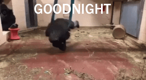 a picture of a gorilla swinging with the words goodnight written above it