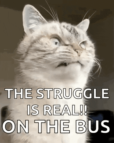 a cat with the words the struggle is real on the bus written below it
