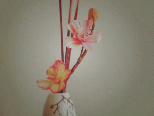 Sakura Flower GIF - Sakura Flower GIFs