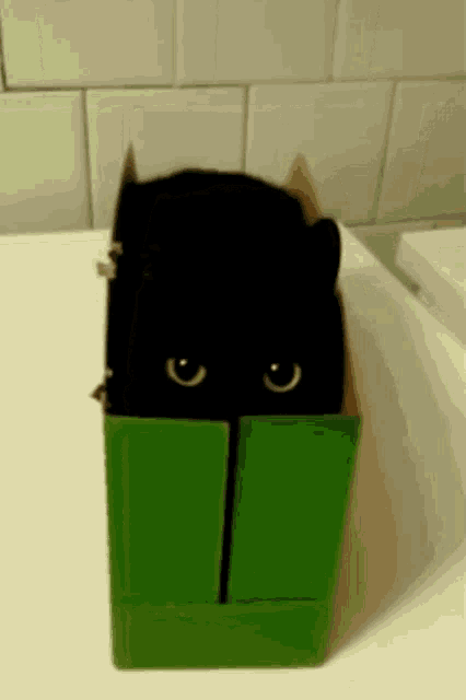 Cat Shy GIF - Cat Shy Peek GIFs