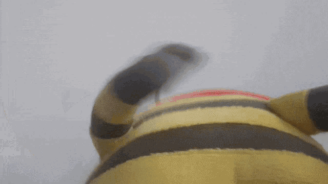 a close up of a yellow and black striped animal