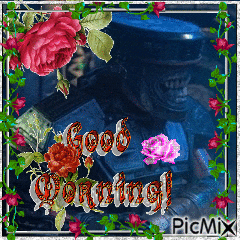 a picture with roses and the words good evening