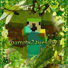 Parrotx2 Lifestealsmp GIF - Parrotx2 Lifestealsmp Tuesday GIFs