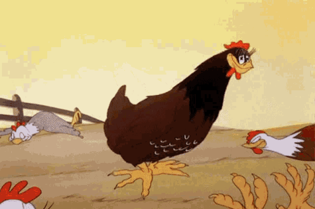 a chicken is standing in a field with other chickens and a rabbit laying on the ground .