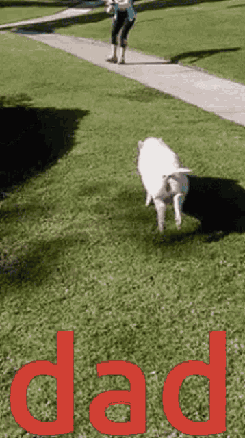 a picture of a person walking a dog with the word dad in red letters